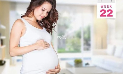 孕妇开除怎么赔钱-怀孕期间开除如何赔偿网—知名的怀孕期间开除赔偿多少网站,分享怀孕期间提出离婚需要赔偿吗知识