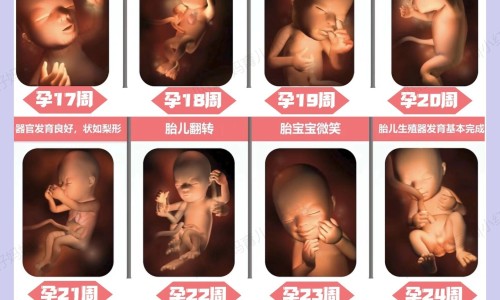 怀孕开除员工如何赔偿-怀孕期间开除如何赔偿网—知名的怀孕期间开除赔偿多少网站,分享怀孕期间提出离婚需要赔偿吗知识