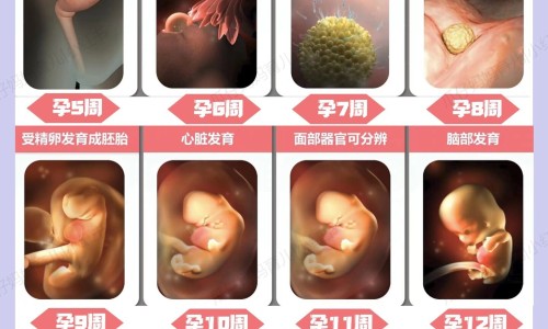 怀孕期间开除赔偿多少-怀孕期间开除如何赔偿网—知名的怀孕期间开除赔偿多少网站,分享怀孕期间提出离婚需要赔偿吗知识